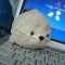 Shizu Avatar